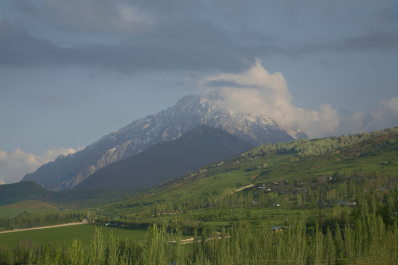 photo 1028174