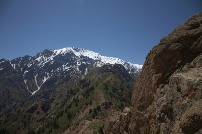 photo 1028176