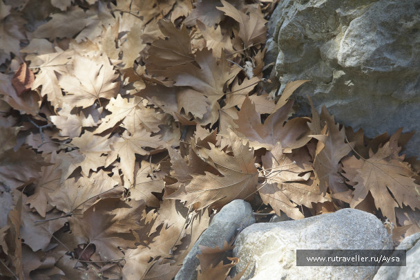 photo 1474797
