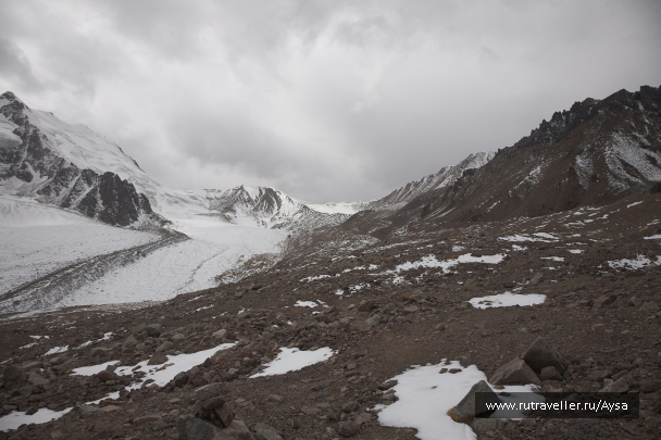 photo 1541144