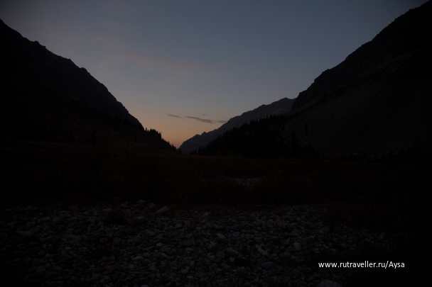 photo 1541167