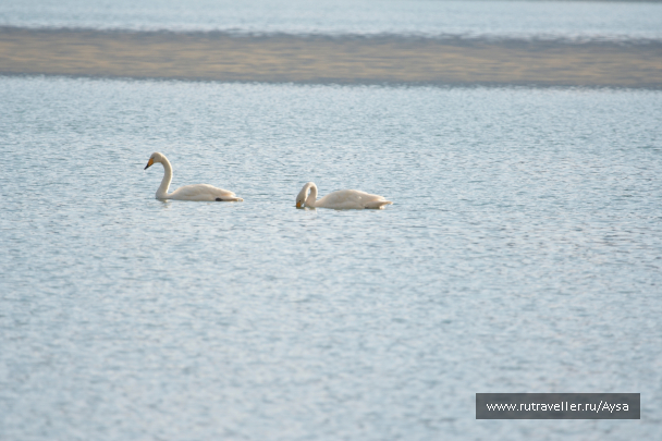photo 1777437
