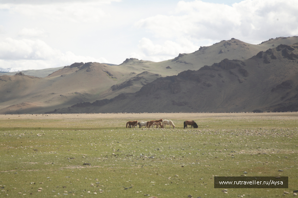 photo 1777439