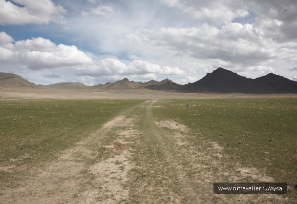 photo 1777440