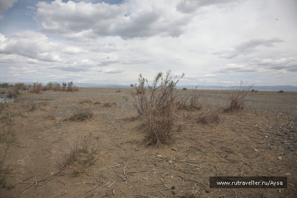 photo 1777829