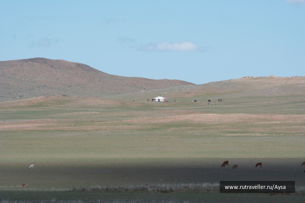 photo 1777839