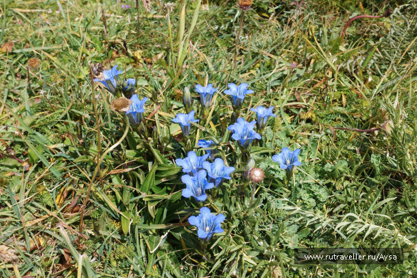 photo 1796559