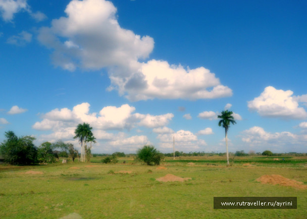 photo 687176