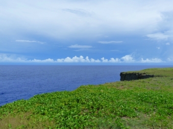 photo 850172