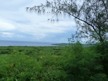 photo 850174