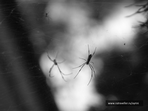 photo 1372642