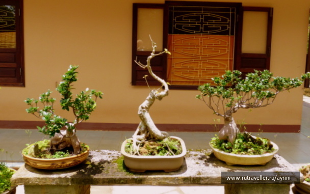 photo 1372644