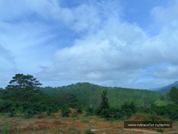 photo 1372652