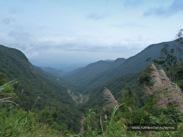 photo 1372653