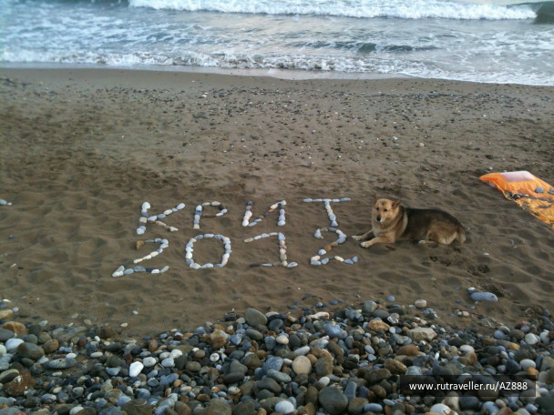 photo 487327