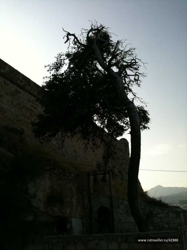 photo 487393