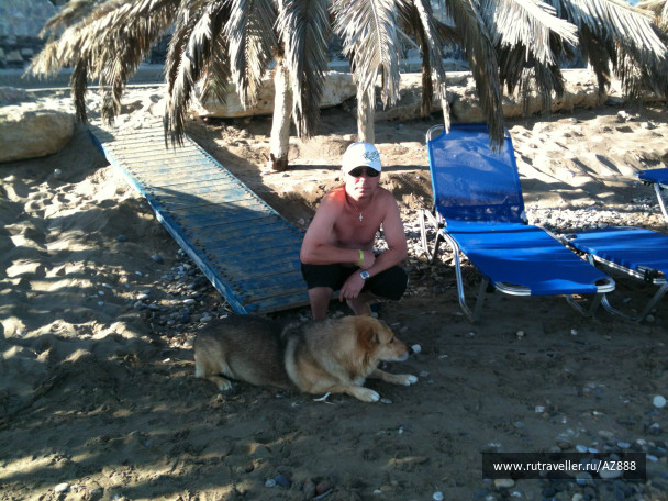 photo 487424