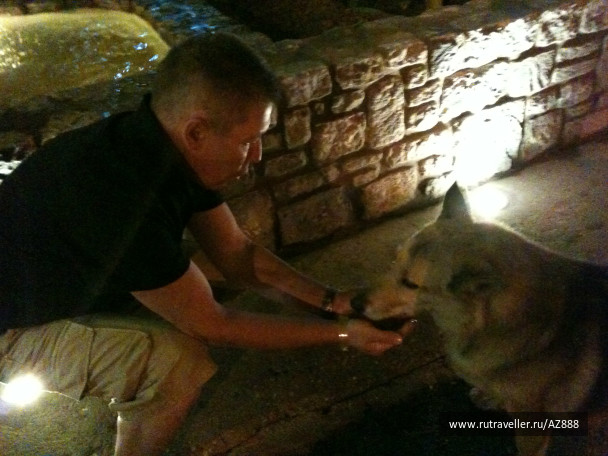 photo 487427