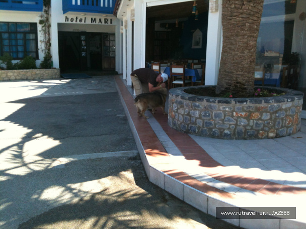 photo 487430