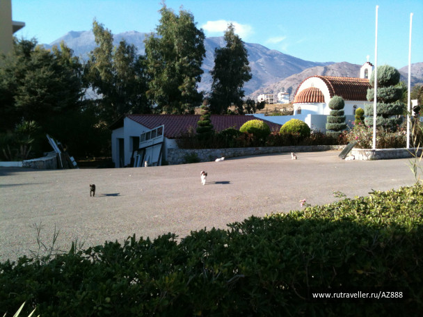 photo 487432