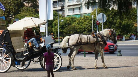 photo 157816