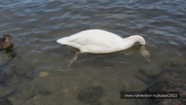 photo 640128
