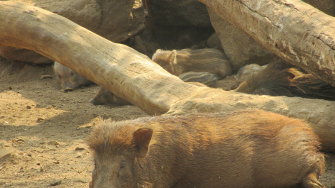 photo 723864