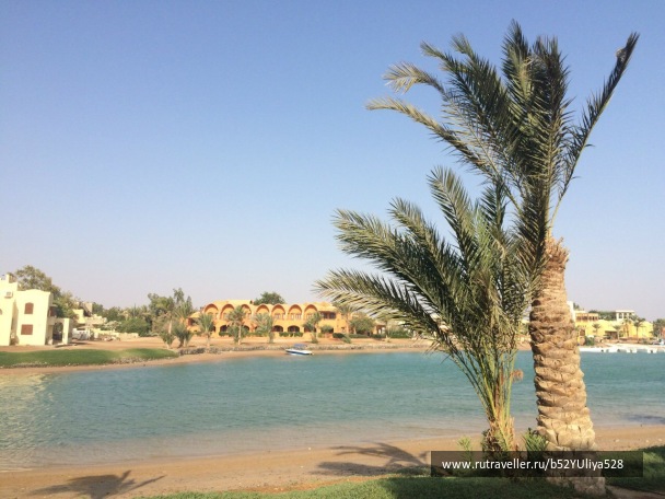 photo 1573983