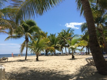 photo 1573959