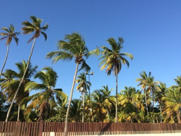 photo 1573967