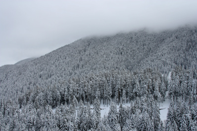 photo 268906