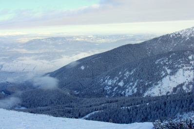 photo 268914