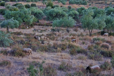 photo 676310