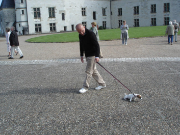 photo 222939