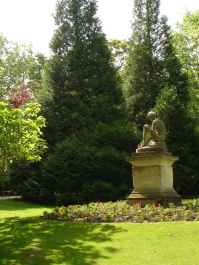 photo 372972