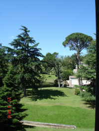 photo 295811