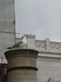 photo 285672