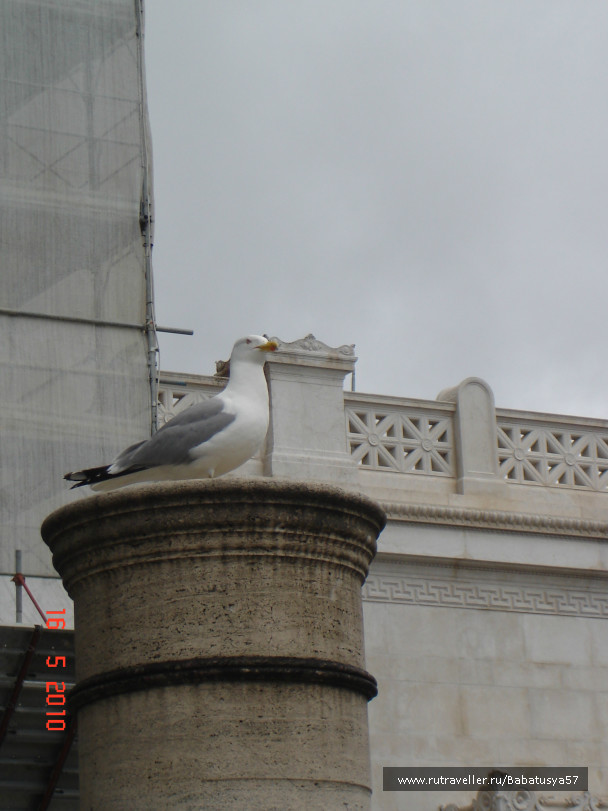 photo 285672