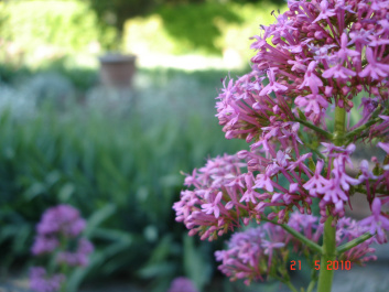 photo 324860