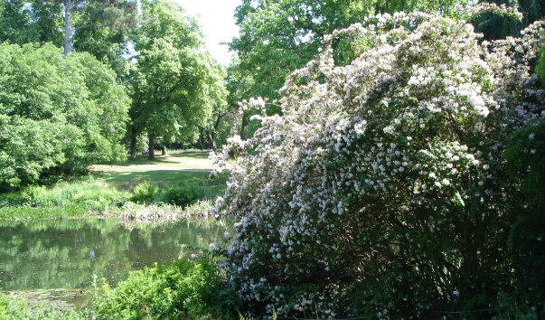 DSC06378