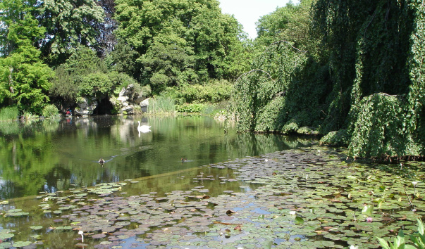 DSC06372