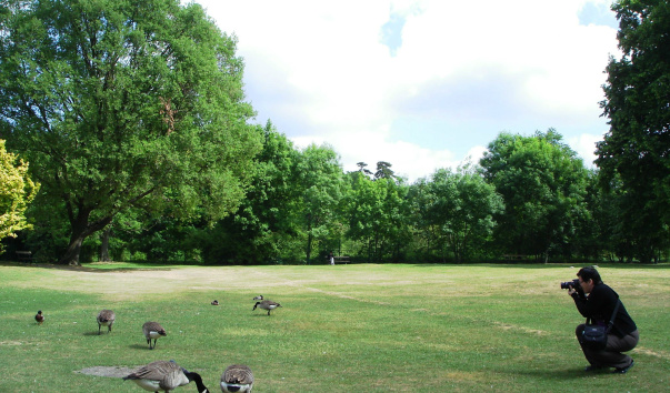 DSC06335