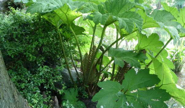 DSC06382
