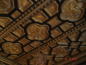 photo 552815