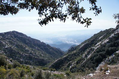 photo 232012