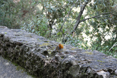 photo 261260