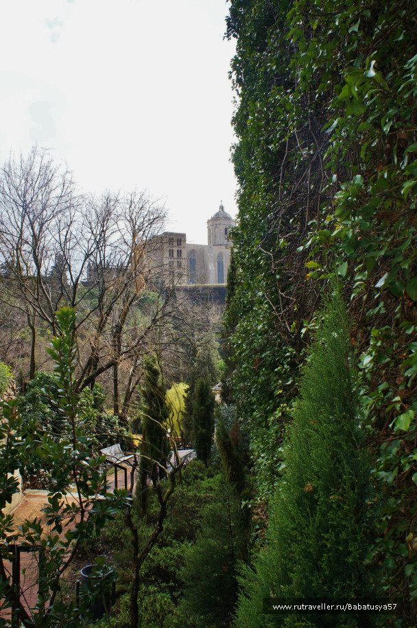 photo 686378