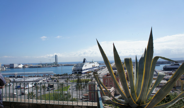 DSC00606