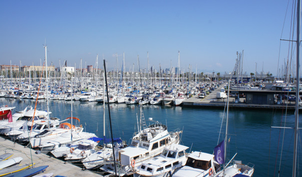 DSC01683