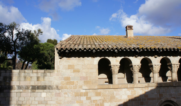 DSC00753
